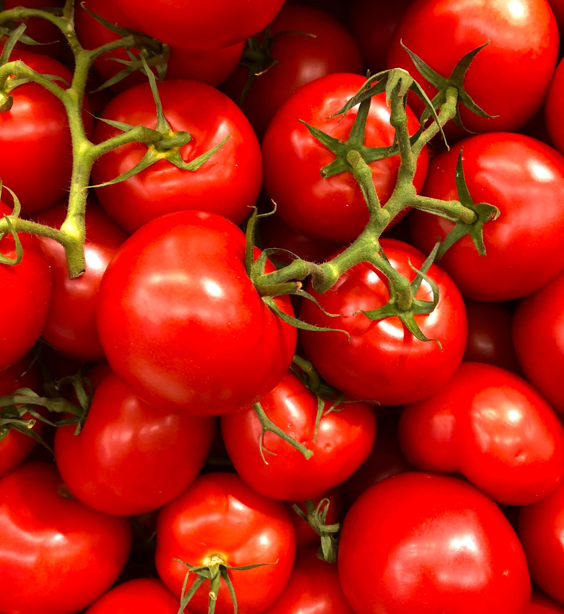 Tomato fields and production sourcing